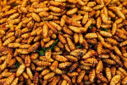 Asian food market. A counter with fried insects.