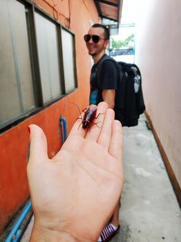 A huge cockroach found while walking through the streets in Thailand.