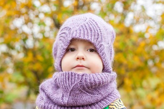 A child in a purple, knitted hat and scarf. Portrait of a child on the background of autumn trees.   