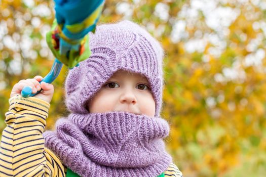 A child in a purple, knitted hat and scarf. Portrait of a child on the background of autumn trees.