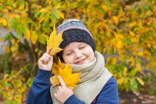 Autumn mood. The boy holds yellow maple leaves in his hands. Autumn portrait of a child in a knitted hat. Sight. 