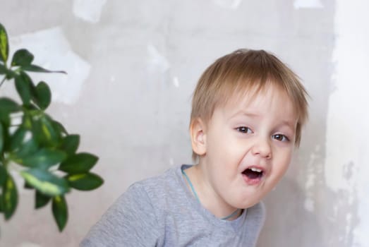 Portrait of a cute little boy. A child with a bright emotion on his face. Success, bright idea, creative ideas. The concept of an advertising banner.