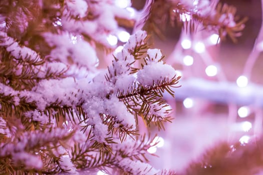 Christmas and New Year holiday background. Close-up of a Christmas tree in the snow against a background of bright lights. Snow