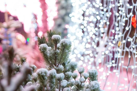 Christmas and New Year holiday background. Close-up of a Christmas tree in the snow against a background of bright lights. Snow 