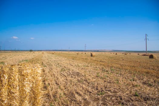 A field with straw bales. Nature. Rural area.