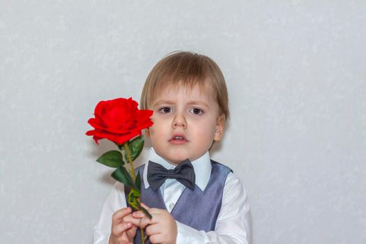 A little boy holds and hands over a red rose, the concept of the Valentine's Day theme. Portrait of a cute boy in a suit with a bow tie. Valentine's Day. 