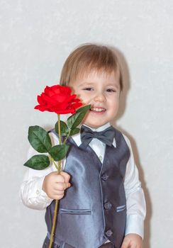 A little boy holds and hands over a red rose, the concept of the Valentine's Day theme. Portrait of a cute boy in a suit with a bow tie. Valentine's Day.