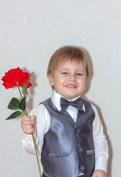 A little boy holds and hands over a red rose, the concept of the Valentine's Day theme. Portrait of a cute boy in a suit with a bow tie. Valentine's Day.