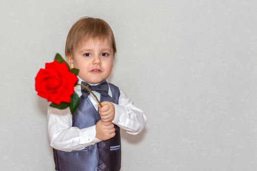 A little boy holds and hands over a red rose, the concept of the Valentine's Day theme. Portrait of a cute boy in a suit with a bow tie. Valentine's Day.