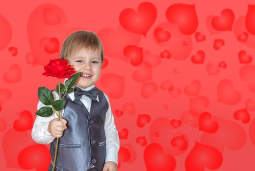 A little boy holds and hands over a red rose, the concept of the Valentine's Day theme. Portrait of a cute boy in a suit with a bow tie. Valentine's Day.