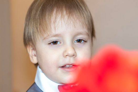 A little boy holds and hands over a red rose, the concept of the Valentine's Day theme. Portrait of a cute boy in a suit with a bow tie. Valentine's Day. 