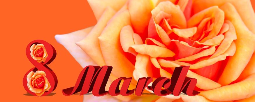 A banner with a spring concept. 3d the inscription on 8 March. Yellow-orange roses. A postcard for a woman.