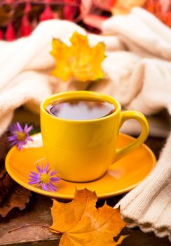 cup of hot tea and autumn leaves, on brown background