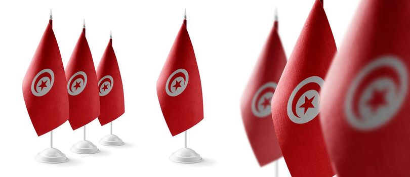 Set of Tunisia national flags on a white background.