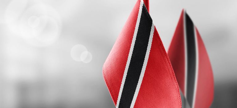 Small national flags of the Trinidad and Tobago on a light blurry background.