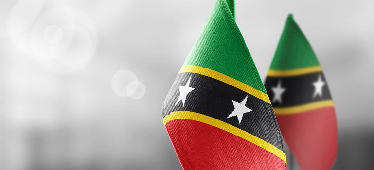 Small national flags of the Saint Kitts and Nevis on a light blurry background.