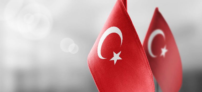 Small national flags of the Turkey on a light blurry background.