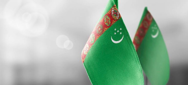 Small national flags of the Turkmenistan on a light blurry background.