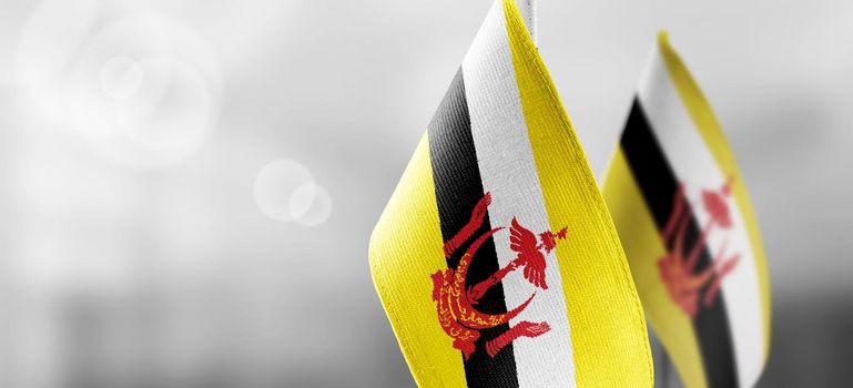 Small national flags of the Brunei on a light blurry background.