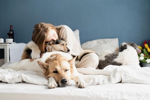 Happy young woman sitting in the bed with her dogs, blue wall background, focus on dog