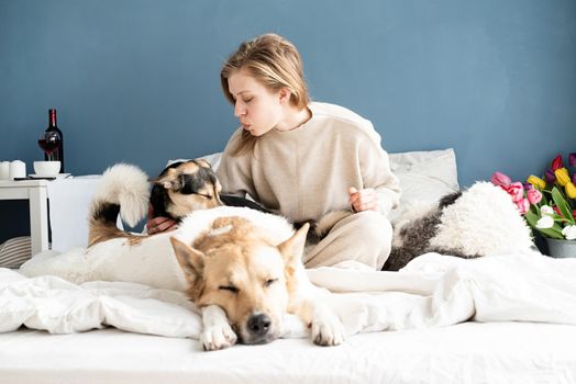 Happy young woman sitting in the bed with her dogs, blue wall background