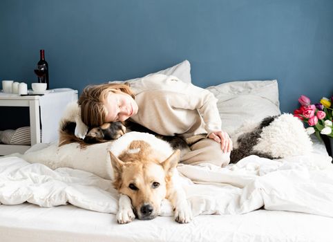 Happy young woman sitting in the bed with her dogs, blue wall background