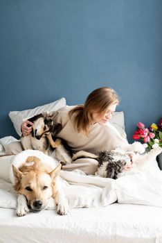 Happy young woman sitting in the bed with her dogs, blue wall background