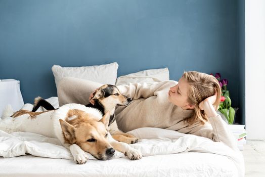 Happy young woman lying in the bed with her dogs, blue wall background