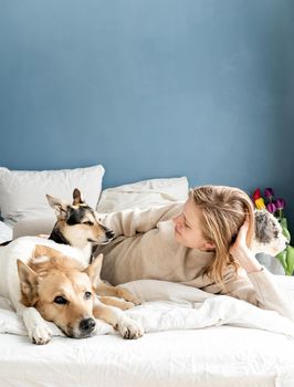 Happy young woman lying in the bed with her dogs, blue wall background