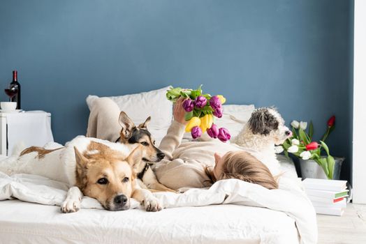 Happy young woman lying in the bed with her dogs, blue wall background