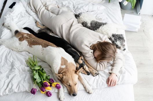 Sleeping young woman wearing pajamas lying in the bed with her dogs