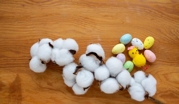 Dried white fluffy cotton flower, chicken and small colored eggs on a wooden background, close-up, copy space, top view. The concept of Easter.