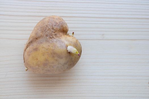 An unusual heart-shaped potato with sprouts lies on a wooden board on the table.