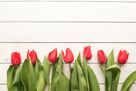 Spring, flowers concept. Red tulips over white wooden table background, copy space