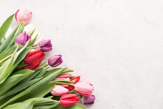 Spring concept. Tulip bouquet on white concrete background with copy space