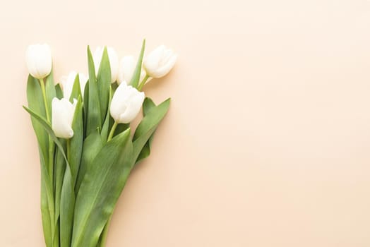 Spring concept. White tulip bouquet on pastel background with copy space