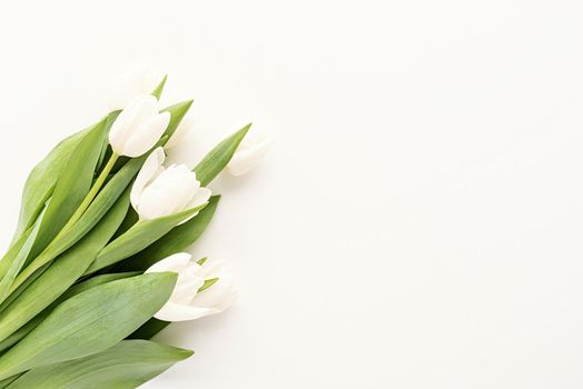 Spring concept. White tulip bouquet for mock up design on white background with copy space