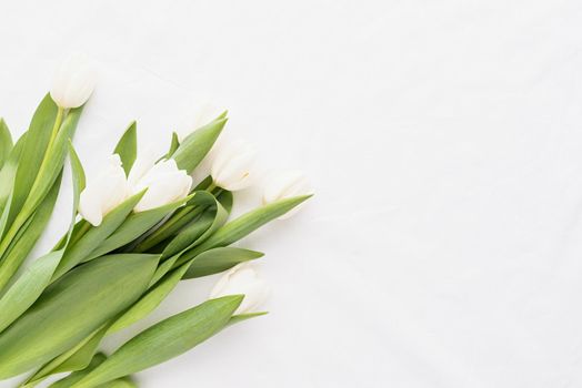 Spring concept. White tulip bouquet on white fabric background for mock up design with copy space