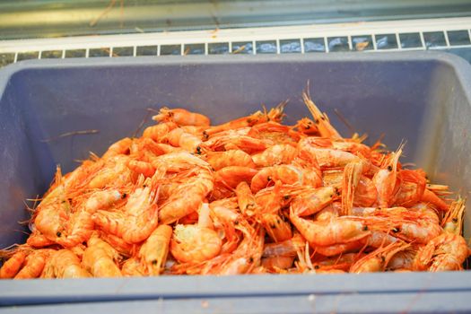 Seafood in the window of the shopping pavilion of the city market. Vladivostok, Russia