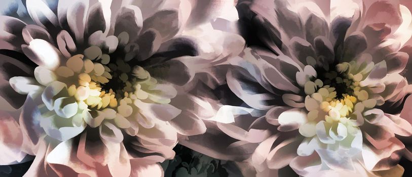 Abstract image of two chrysanthemum flowers in the style of painting. Presented in close-up.