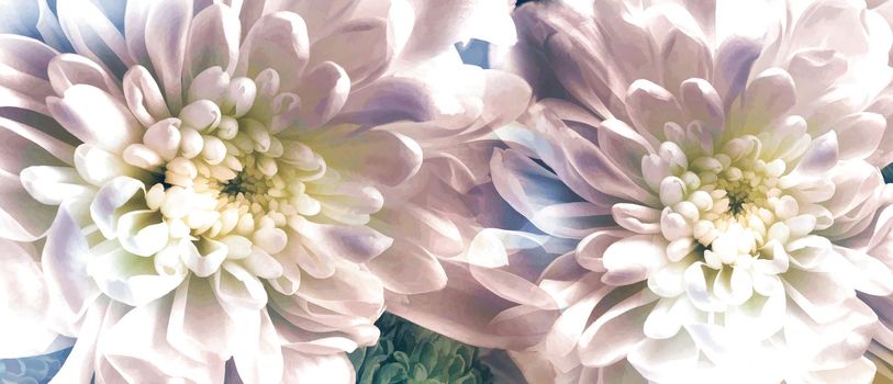 Abstract image of two chrysanthemum flowers in the style of painting. Presented in close-up.