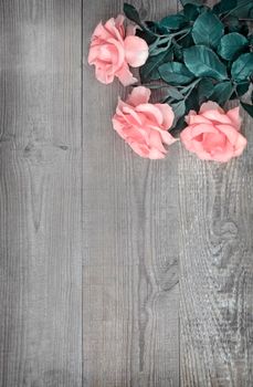 On a light wooden rustic background luxurious pink roses with delicate petals. Top view, copy space.