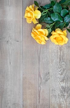 On a light wooden rustic background luxurious yellow roses with delicate petals. Top view, copy space.