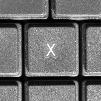 Letter X key on computer keyboard keypad