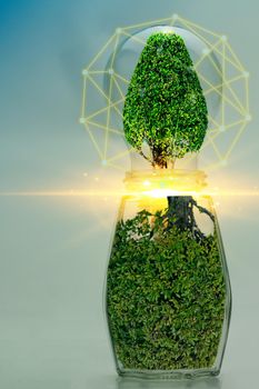 Abstract jar and light bulb green plant energy concept for environmental conservation.