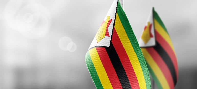 Small national flags of the Zimbabwe on a light blurry background.