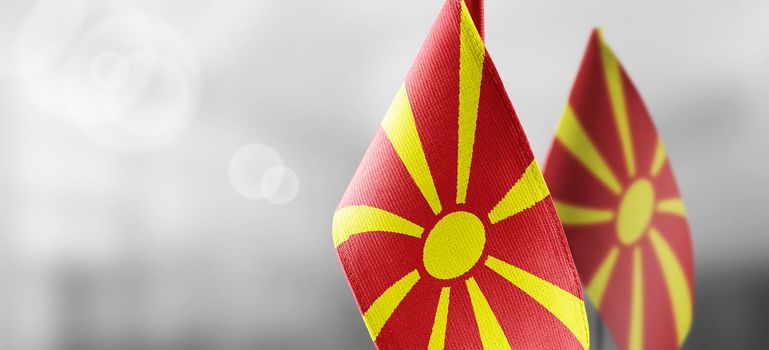 Small national flags of the Macedonia on a light blurry background.