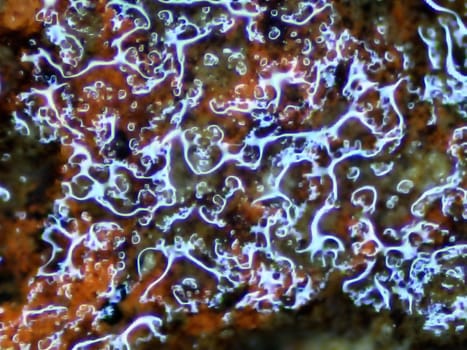 light reflexions of a wet stone in a macro