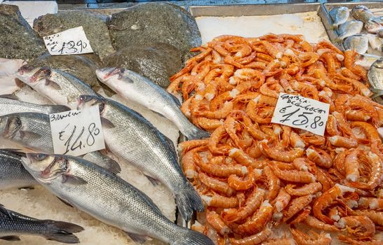 Shrimps and fish for sale at a market