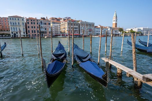 Gondolas at the Grand Canal in Venice with the famous Campanile in the back